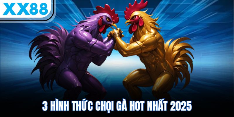 3 hình thức chọi gà hot nhất 2025